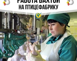 Упаковщики на птицефабрику