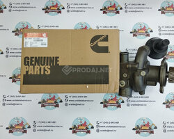Водяной насос Cummins 4972857