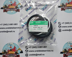Ремкомплект гидроцилиндра Volvo EC290BLC 14589156 NOK