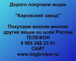 Покупаем акции «Кировский завод»