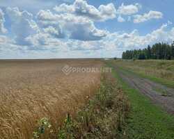 Земельный участок 90 Га